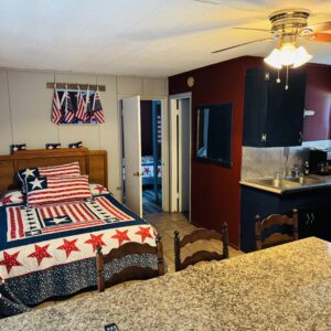 American Flag #7