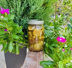Dill Pickle Slices