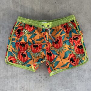 XL Lime Melon Red Blue Trunks
