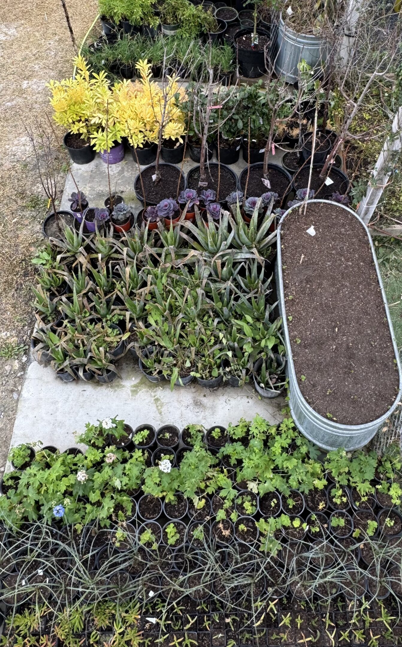 Garden (On Location Only For Now)